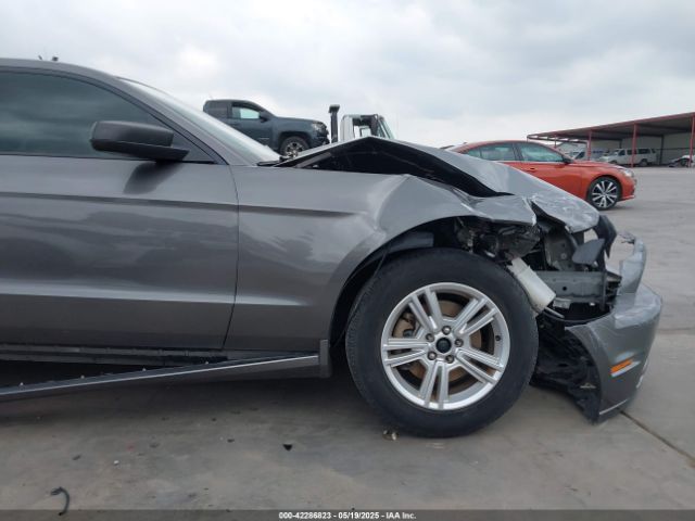 1ZVBP8AMXE5326626 Ford Mustang V6