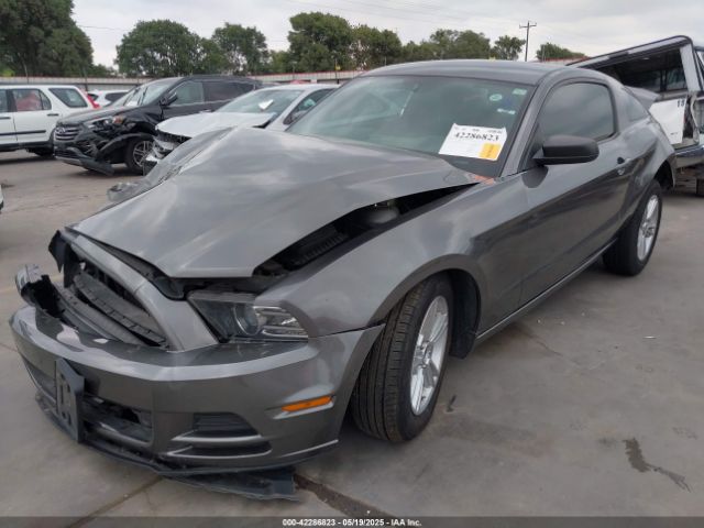 1ZVBP8AMXE5326626 Ford Mustang V6