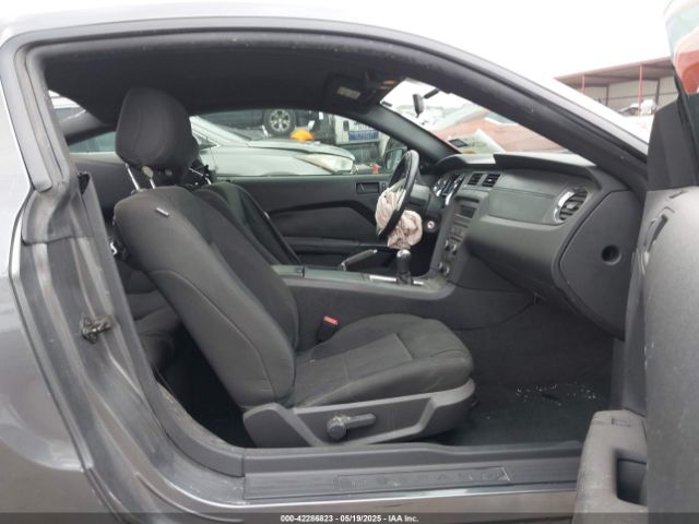 1ZVBP8AMXE5326626 Ford Mustang V6