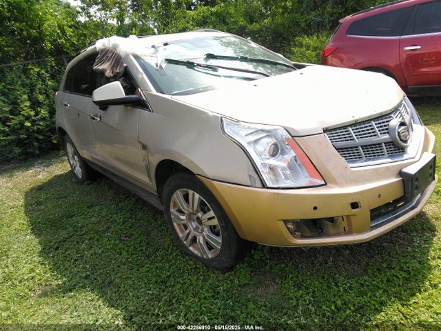 2010 CADILLAC SRX 3GYFNAEY8AS554018 Photo 0