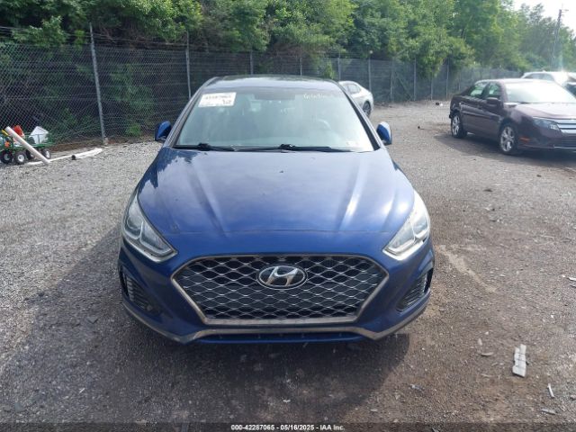5NPE34AB7JH664613 Hyundai Sonata Sport 2.0t