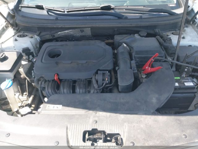 5NPE24AF9GH267578 Hyundai SONATA SE