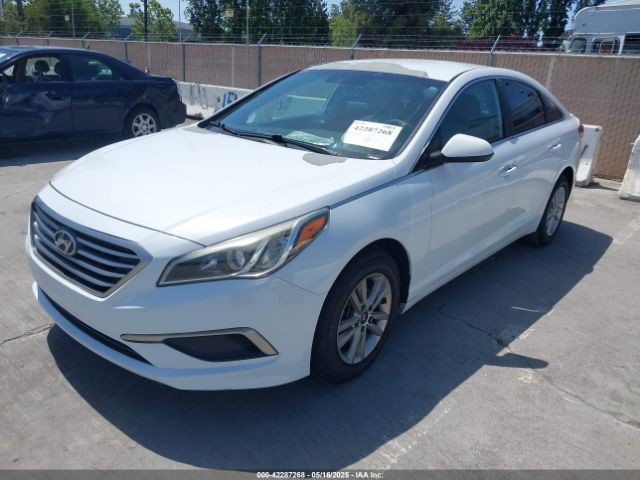 5NPE24AF9GH267578 Hyundai SONATA SE