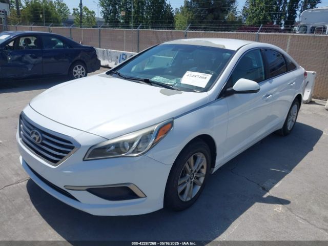 5NPE24AF9GH267578 Hyundai SONATA SE