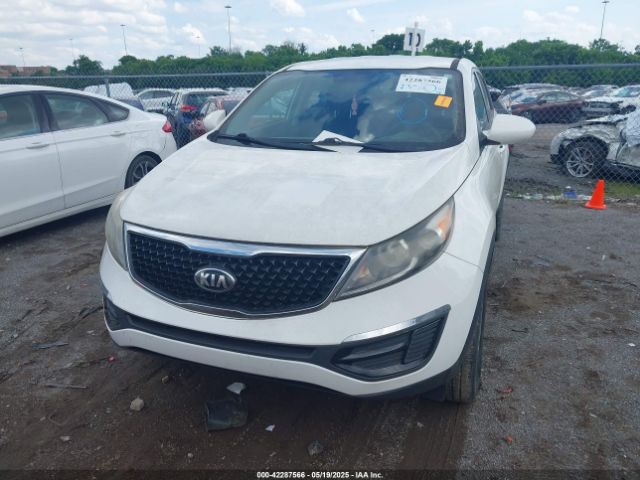 KNDPB3AC8G7814305 KIA Sportage Lx