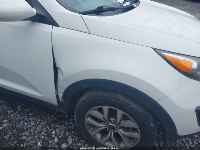 KNDPB3AC8G7814305 KIA Sportage Lx