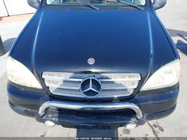 1999 MERCEDES-BENZ ML 320 4JGAB54E9XA054379 Photo 5