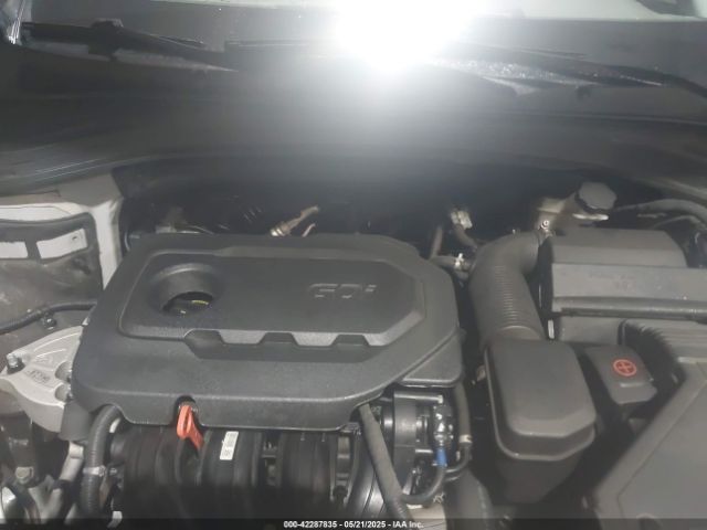 5NMS3CAD6LH234229 Hyundai Santa Fe Sel