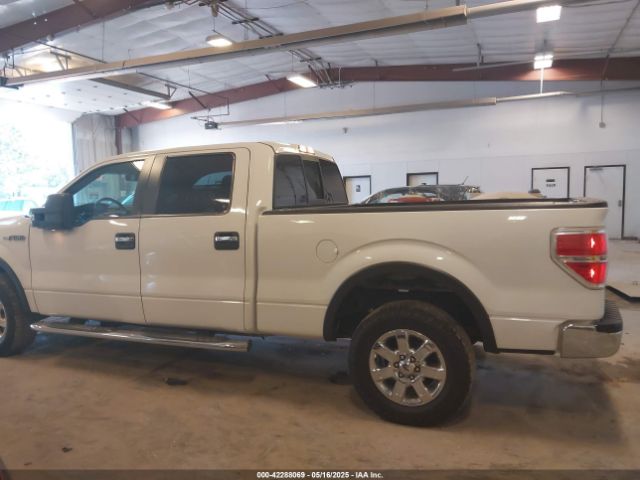 1FTFW1EF4EFB45137 Ford F-150 Xlt
