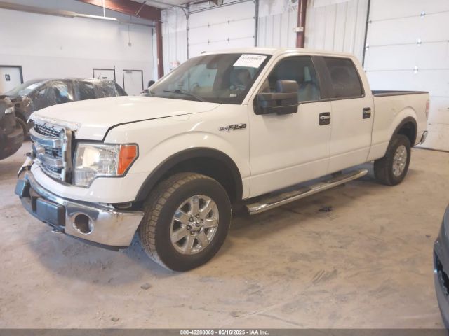 1FTFW1EF4EFB45137 Ford F-150 Xlt