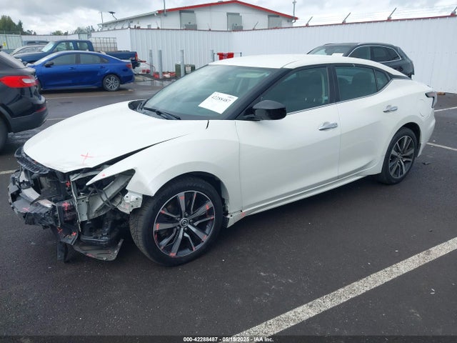 1N4AA6AV9KC360048 Nissan 2019