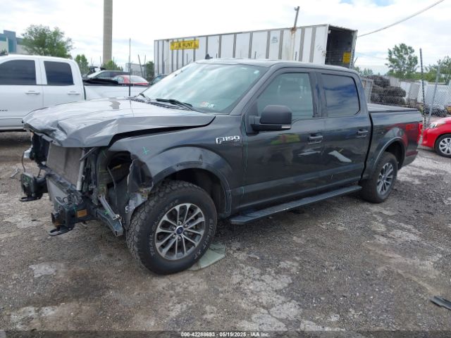 1FTEW1E40LKD04699 Ford F-150 Xlt