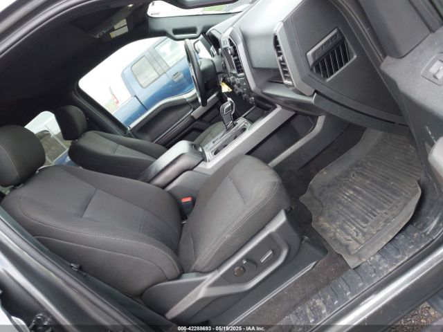1FTEW1E40LKD04699 Ford F-150 Xlt