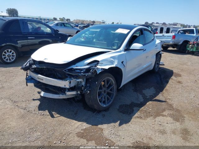 2023 TESLA MODEL 3 5YJ3E1EA2PF571569 Photo 1