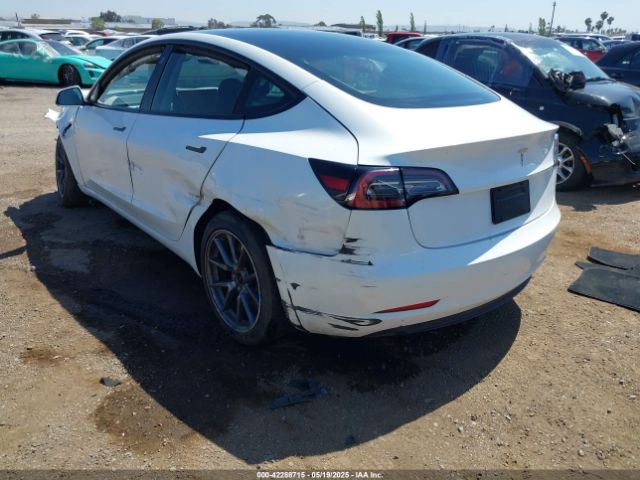 2023 TESLA MODEL 3 5YJ3E1EA2PF571569 Photo 2