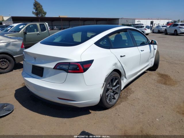2023 TESLA MODEL 3 5YJ3E1EA2PF571569 Photo 3