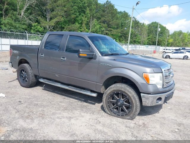 2013 FORD F-150 1FTFW1EF0DFC76385