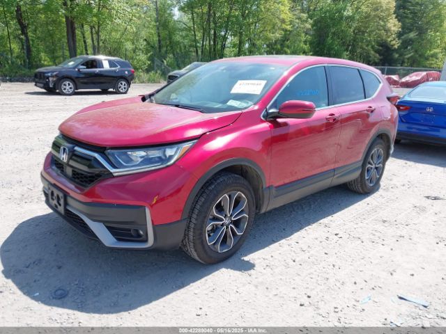 2022 HONDA CR-V 2HKRW2H51NH645459 Photo 1