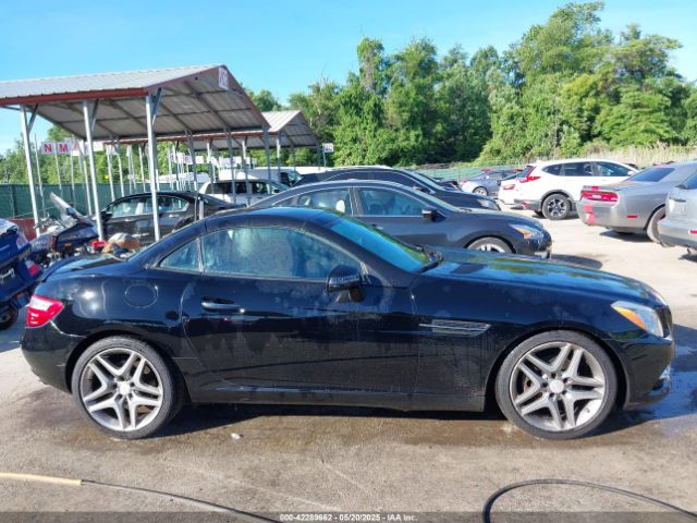 WDDPK4HAXEF083492 Mercedes-Benz SLK 250