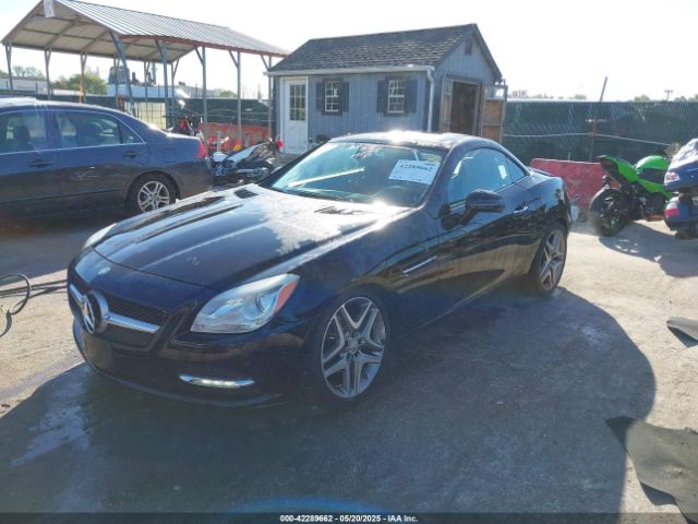 WDDPK4HAXEF083492 Mercedes-Benz SLK 250