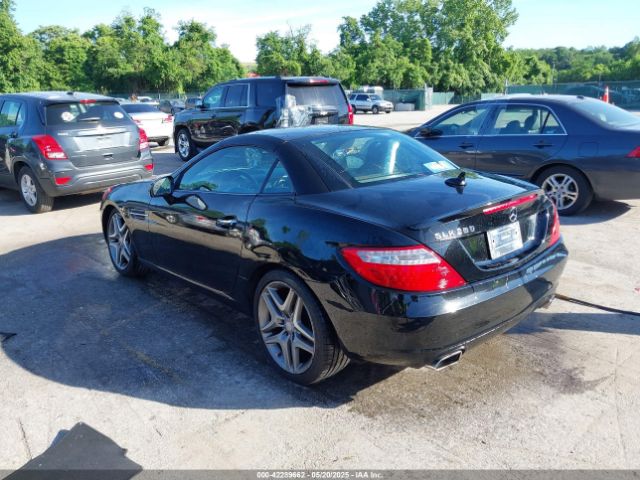 WDDPK4HAXEF083492 Mercedes-Benz SLK 250