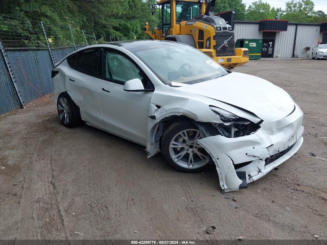 2021 TESLA MODEL Y 5YJYGAED8MF173496 Photo 0