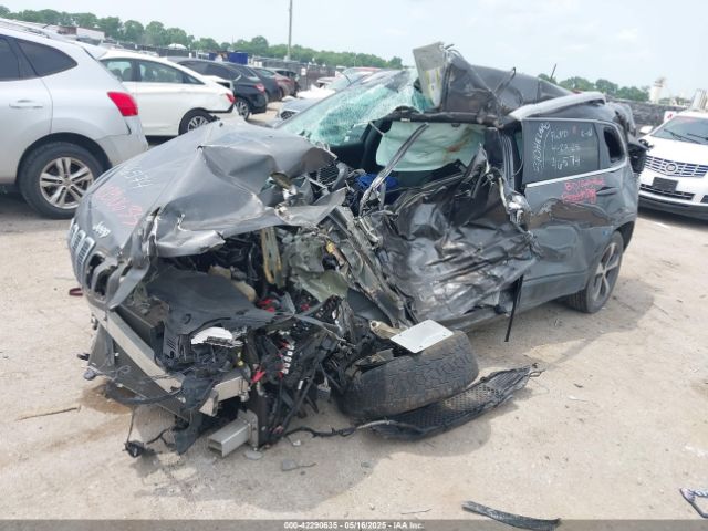 2019 JEEP CHEROKEE 1C4PJLDB0KD487950 Photo 1
