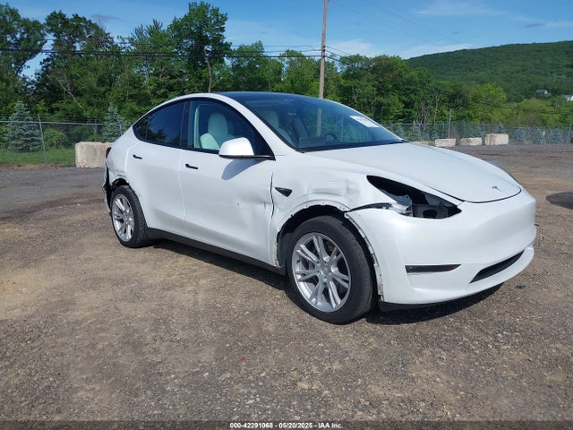 2023 TESLA MODEL Y 7SAYGDEE8PF591817 Photo 0