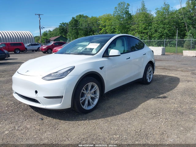 2023 TESLA MODEL Y 7SAYGDEE8PF591817 Photo 1
