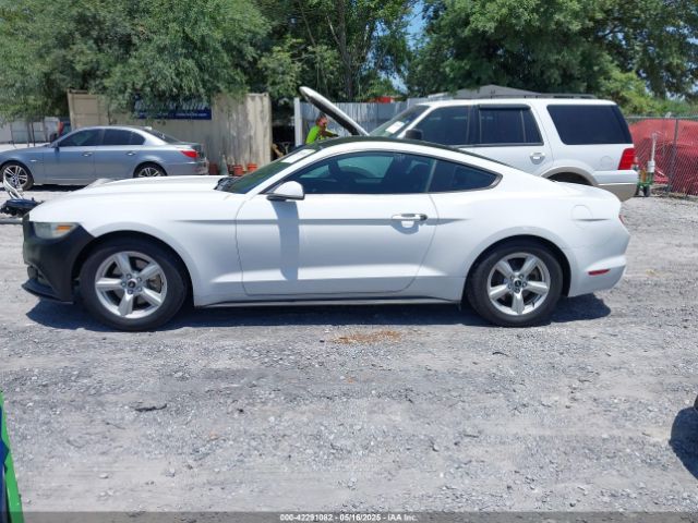 1FA6P8AM0G5267177 Ford Mustang V6