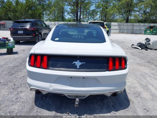 1FA6P8AM0G5267177 Ford Mustang V6