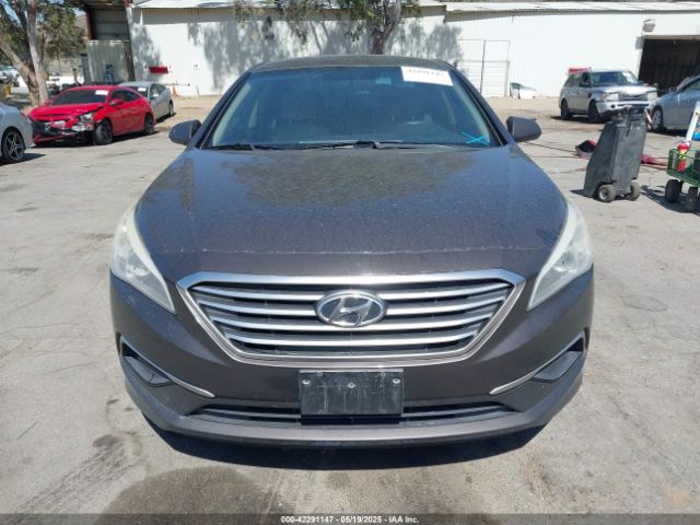 5NPE24AF9HH584567 Hyundai Sonata