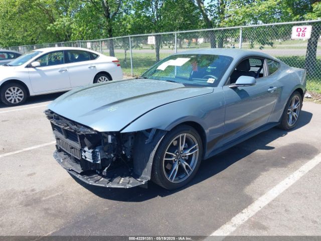 2024 FORD MUSTANG 1FA6P8TH0R5149827 Photo 1
