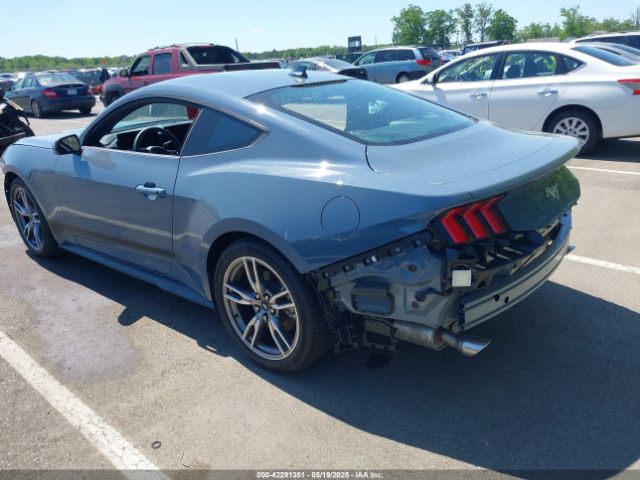 2024 FORD MUSTANG 1FA6P8TH0R5149827 Photo 2