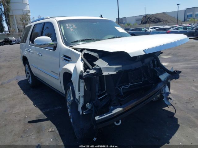 2010 CADILLAC ESCALADE 1GYUKCEF1AR170742