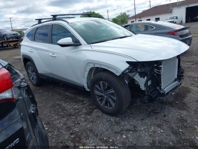 2024 HYUNDAI TUCSON HYBRID KM8JBCD14RU239653
