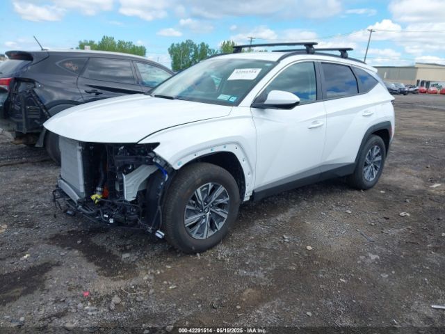 2024 HYUNDAI TUCSON HYBRID KM8JBCD14RU239653 Photo 1