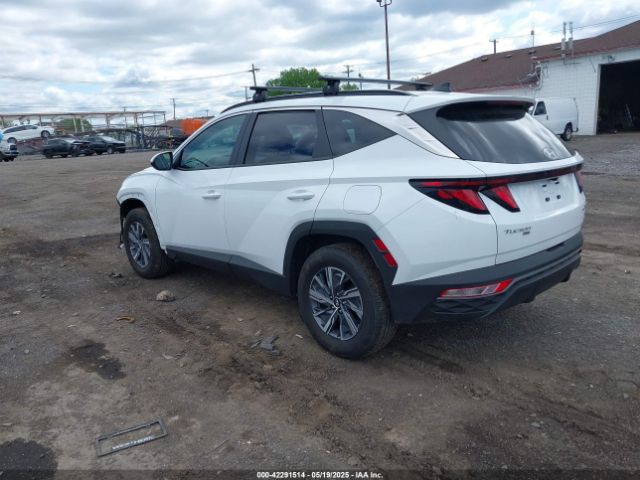 2024 HYUNDAI TUCSON HYBRID KM8JBCD14RU239653 Photo 2