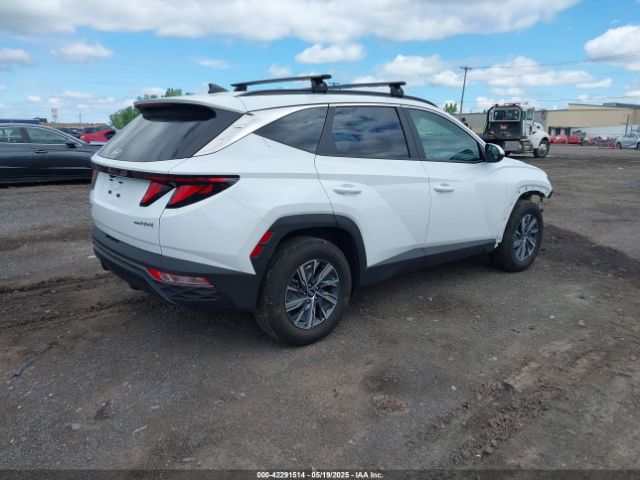 2024 HYUNDAI TUCSON HYBRID KM8JBCD14RU239653 Photo 3
