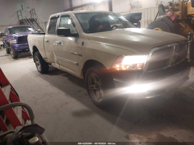 2010 DODGE RAM 1500 1D7RV1GT8AS226944