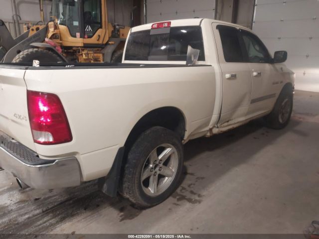 2010 DODGE RAM 1500 1D7RV1GT8AS226944 Photo 3