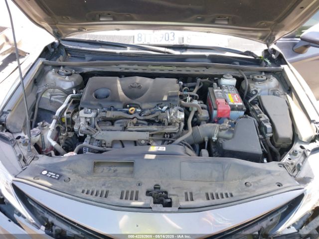 4T1C11AK8MU513670 Toyota CAMRY LE