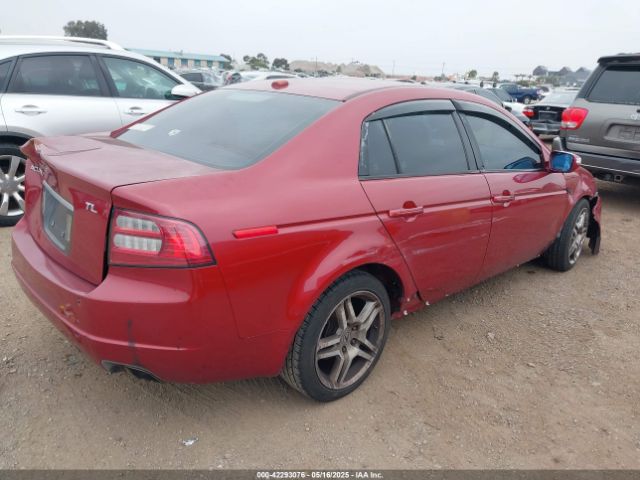 2008 ACURA TL 19UUA66218A031565 Photo 3