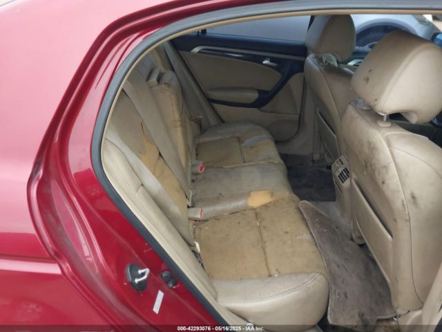 2008 ACURA TL 19UUA66218A031565 Photo 7