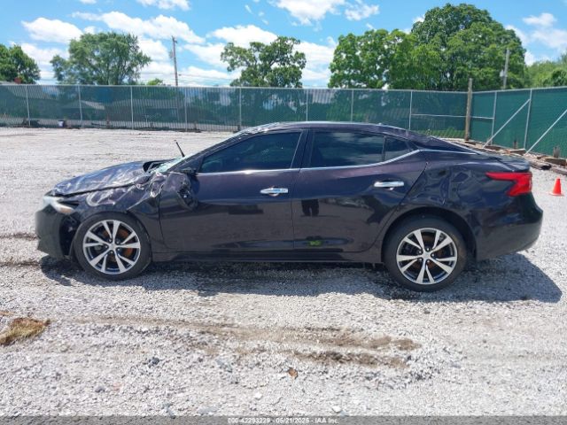 1N4AA6AP8GC388206 Nissan Maxima 3.5 Platinum/3.5 S/3.5 Sl/3.5 Sr/3.5 Sv