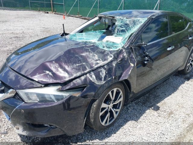 1N4AA6AP8GC388206 Nissan Maxima 3.5 Platinum/3.5 S/3.5 Sl/3.5 Sr/3.5 Sv