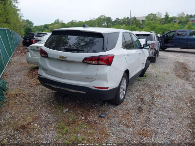 2023 CHEVROLET EQUINOX 3GNAXTEG2PS203067 Photo 3