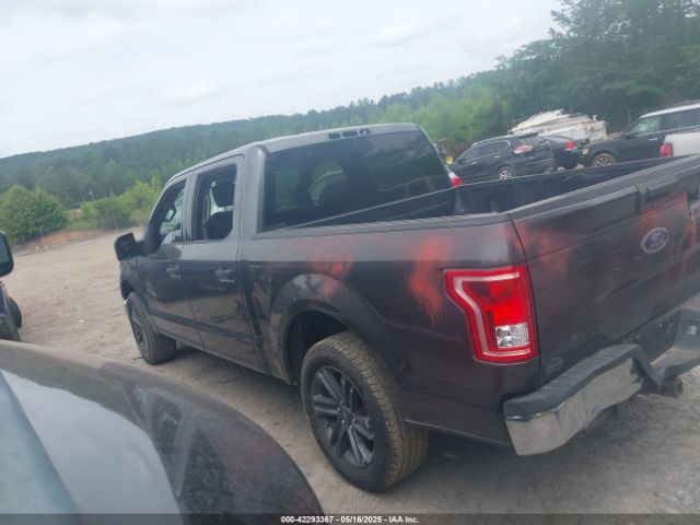 1FTEW1C85FFB03710 Ford F-150 Xlt