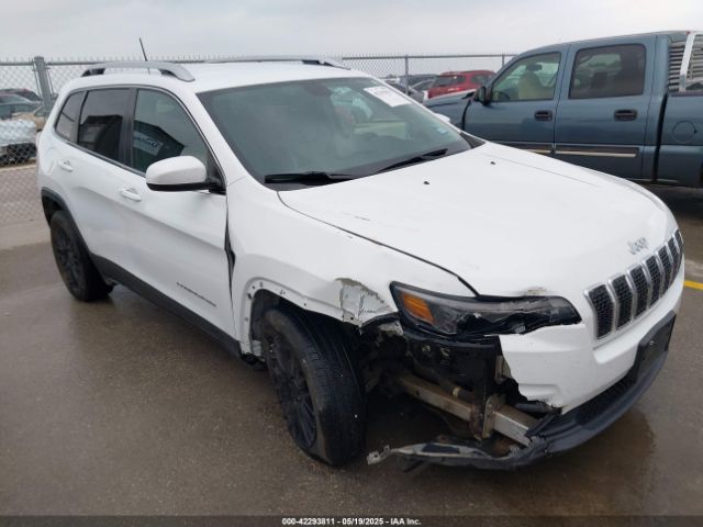 1C4PJLLX9KD203048 auction archive image