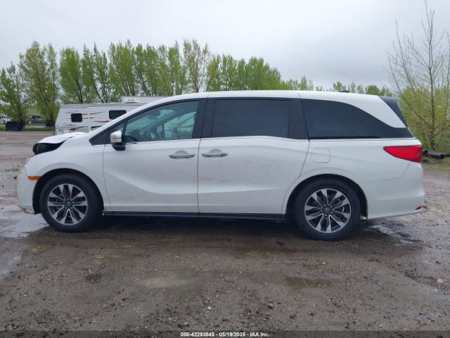 5FNRL6H68RB070774 Honda Odyssey Ex-l